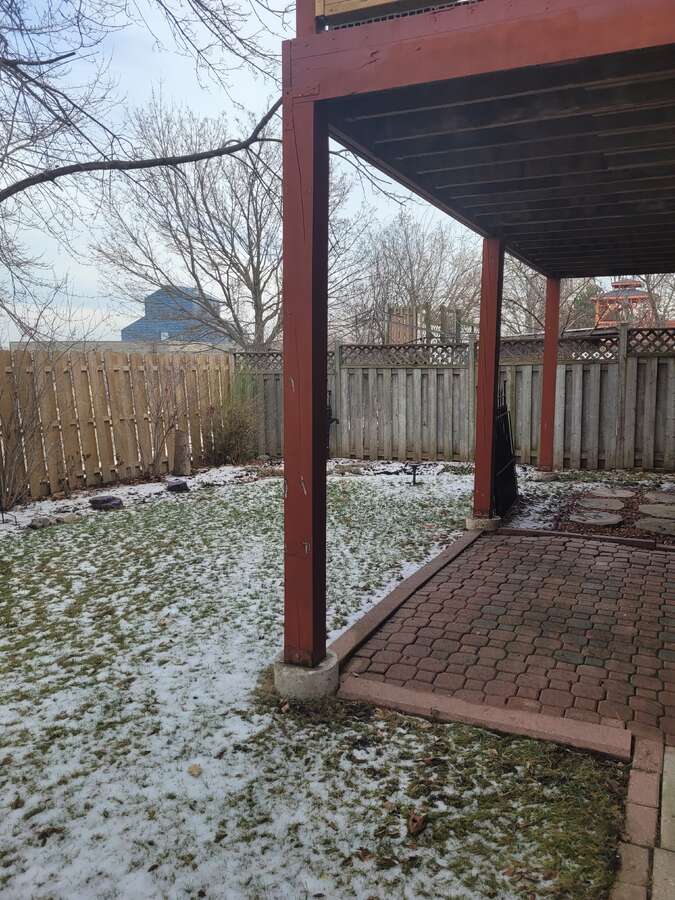 Backyard view