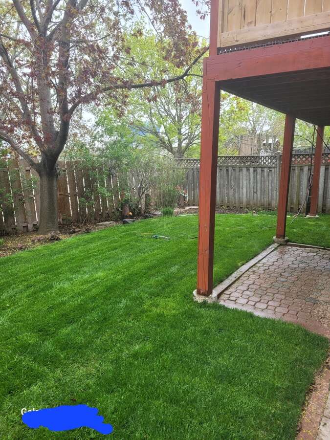 Basement unit living rm with gas fireplace and Two windows facing backyard