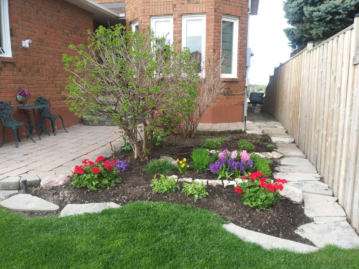 Front Garden - with sprinkler system