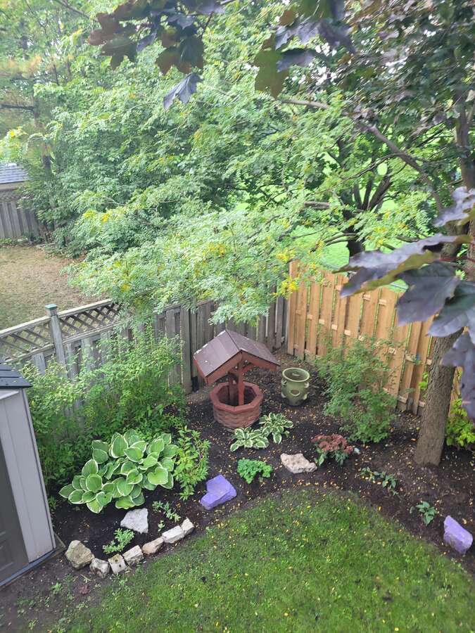 Backyard garden with wishing well