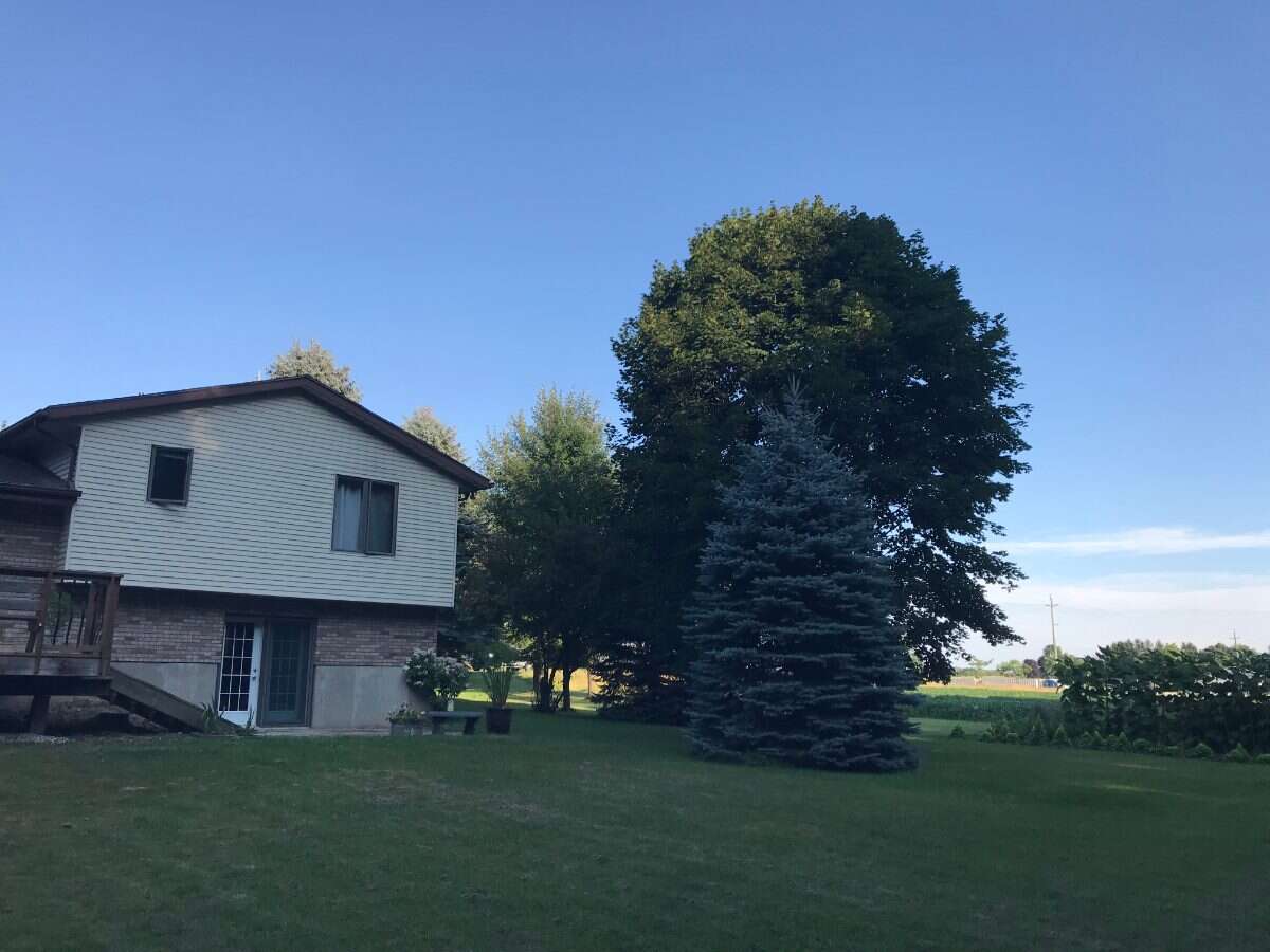 8924 Wellington Rd 5 Palmerston