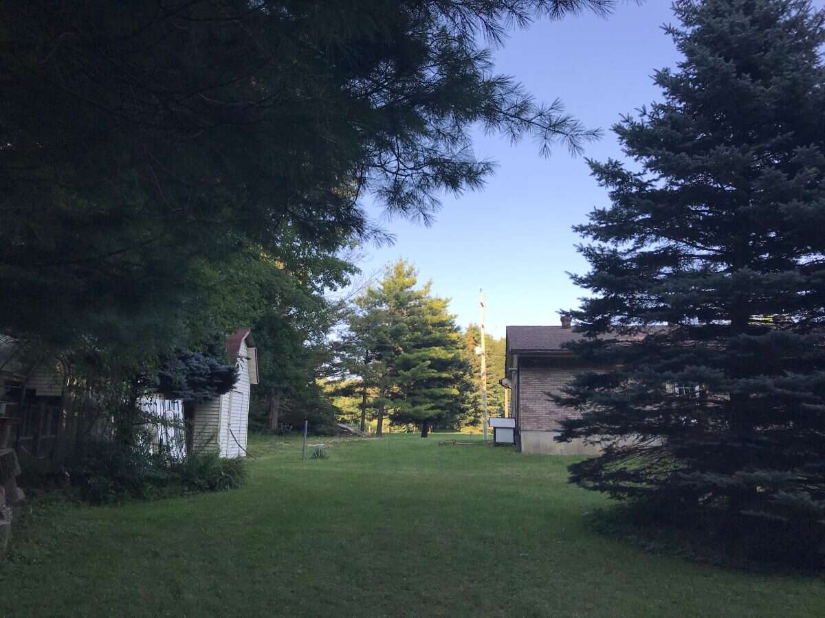 8924 Wellington Rd 5 Palmerston