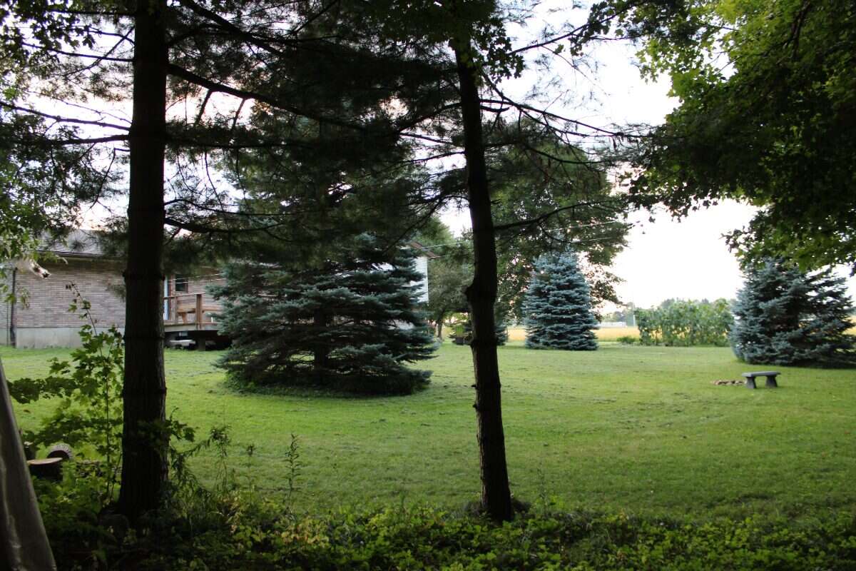 8924 Wellington Rd 5 Palmerston