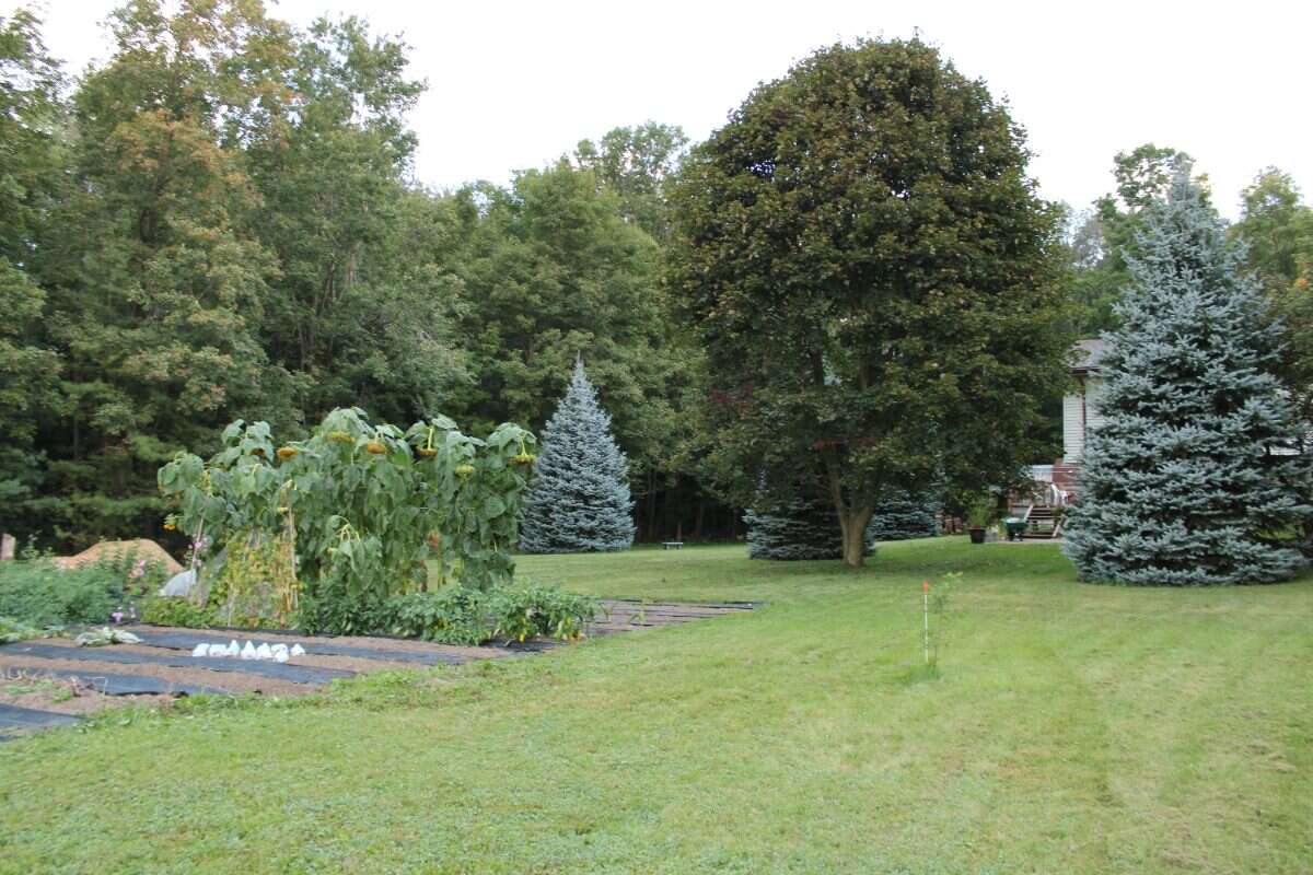 8924 Wellington Rd 5 Palmerston