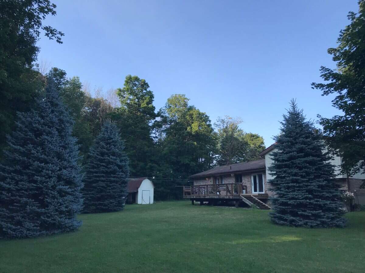8924 Wellington Rd 5 Palmerston