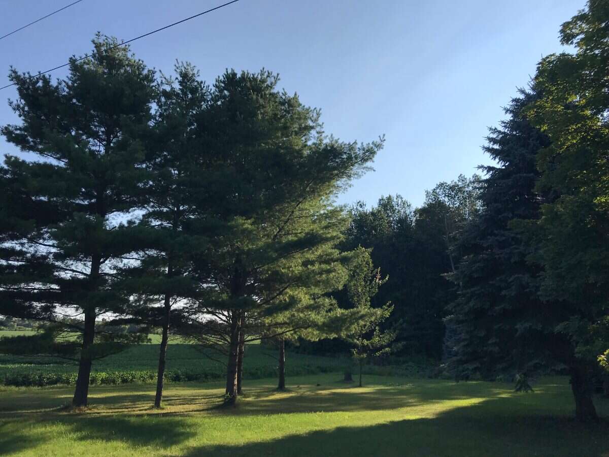 8924 Wellington Rd 5 Palmerston