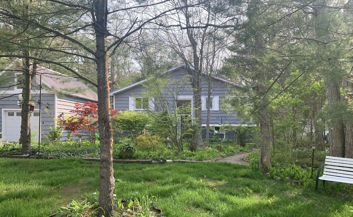 Bright spacious quiet retreat!