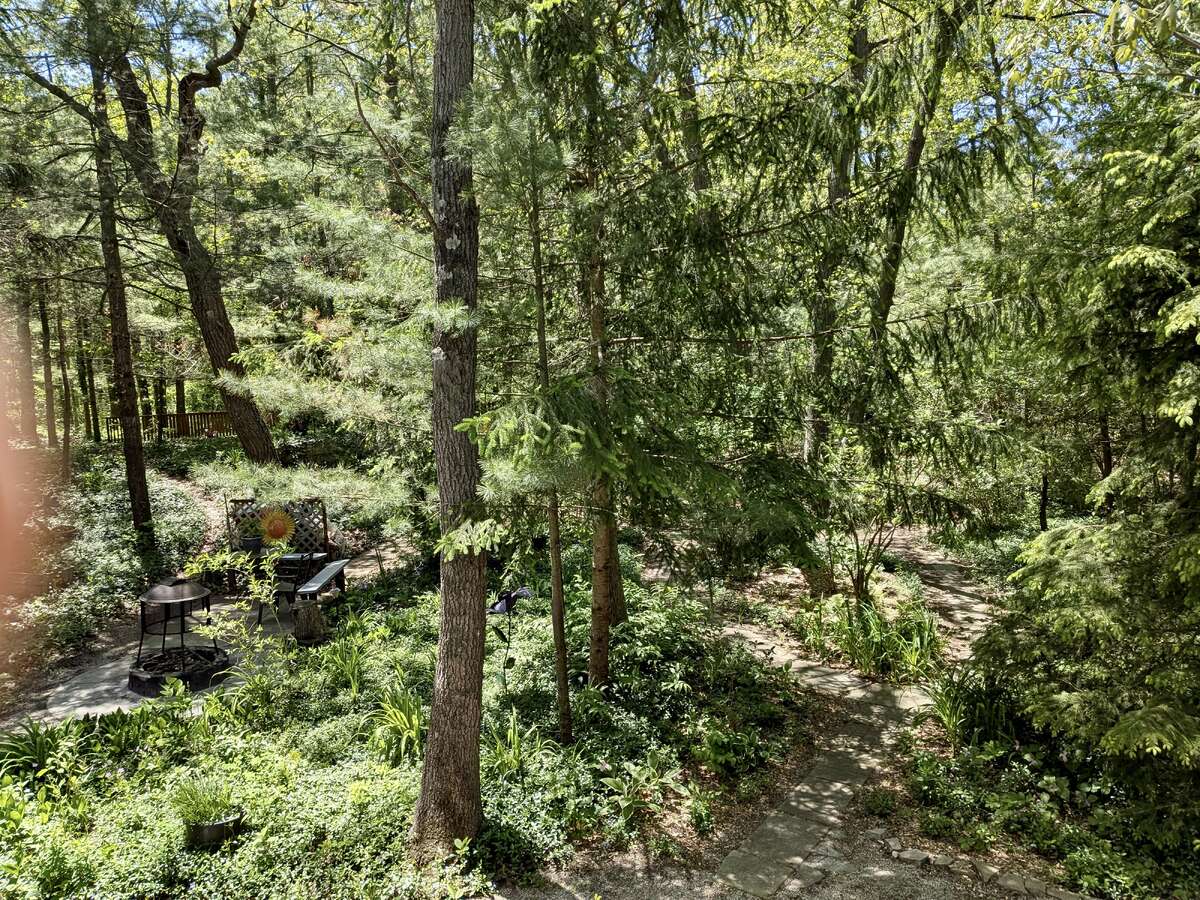 Bright spacious quiet retreat!