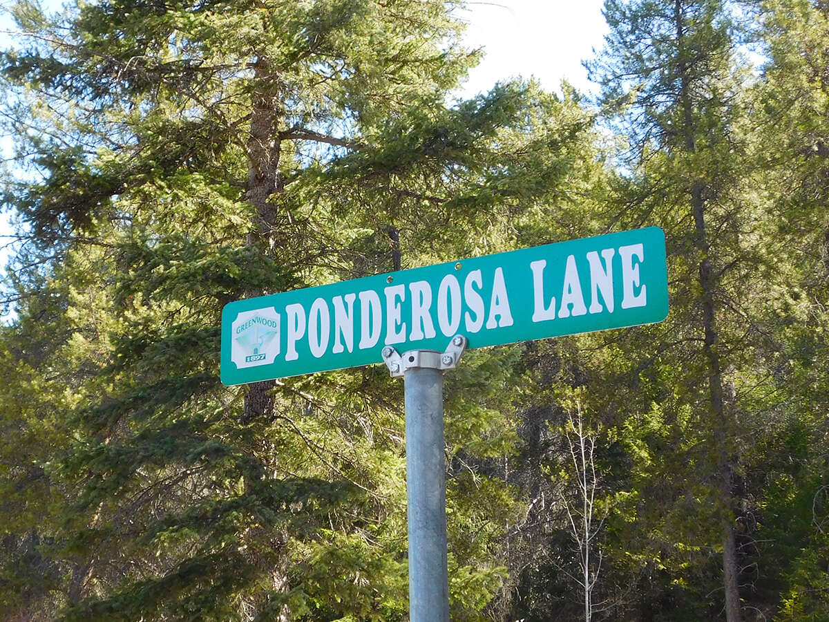 Vacant Land For Sale in Greenwood, British Columbia - 0 bdrm, 0 bath (451 Ponderosa Ave)