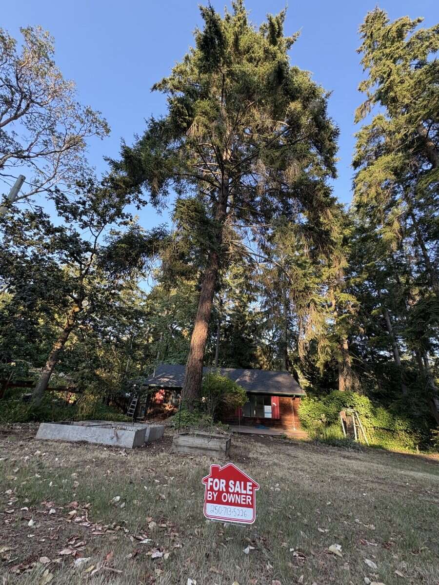 Updated 2-Bedroom Protection Island Home