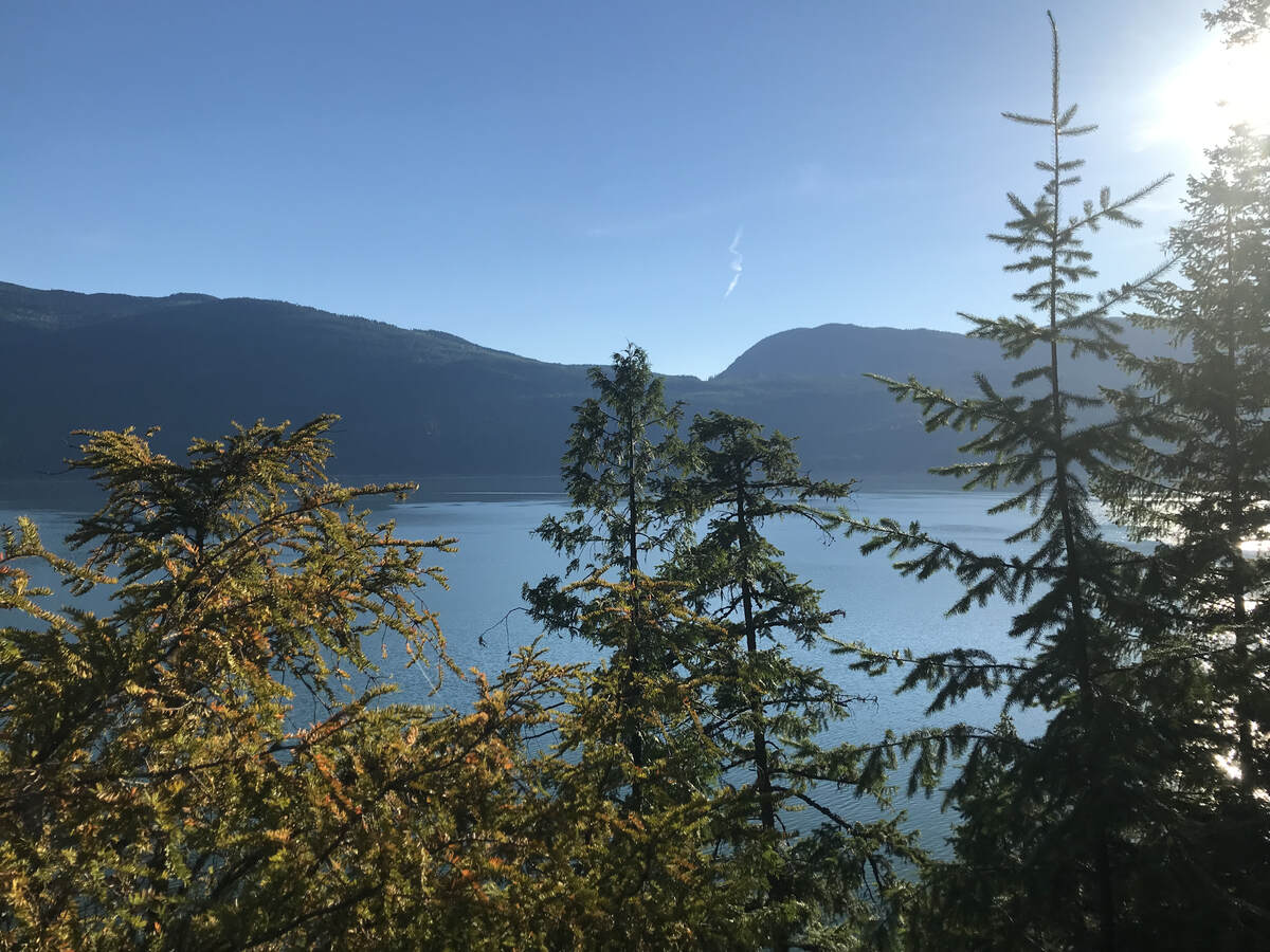 Waterfront Property / Acreage / Vacant Land For Sale in Nakusp, BC