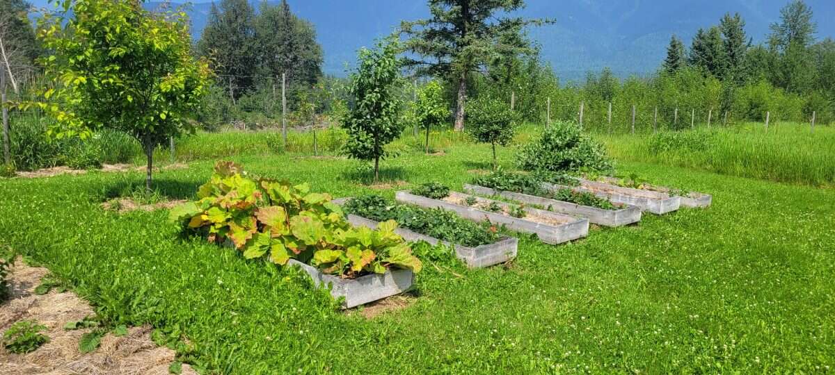 Hobby Farm with acreage