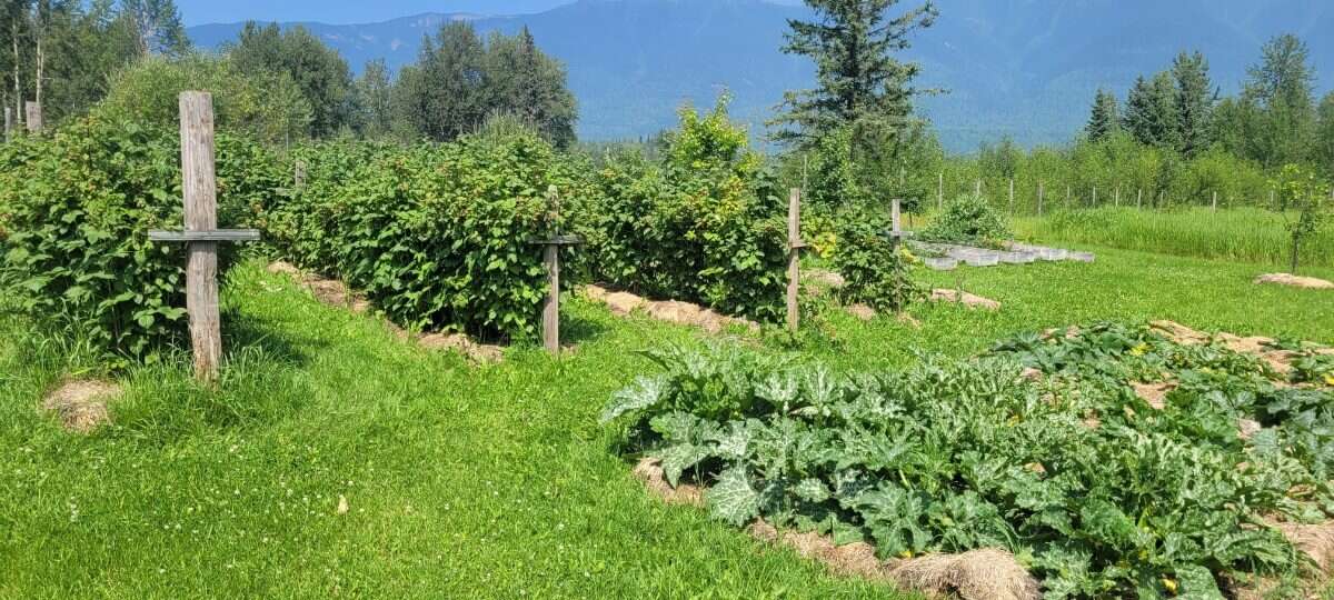 Hobby Farm with acreage