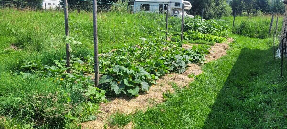 Hobby Farm with acreage