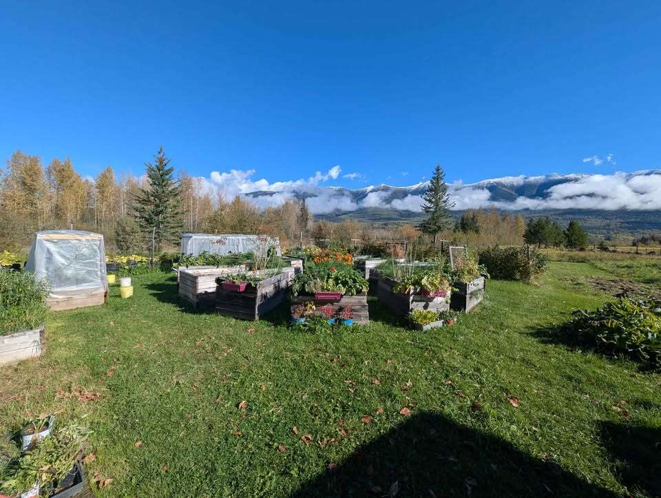 Hobby Farm with acreage