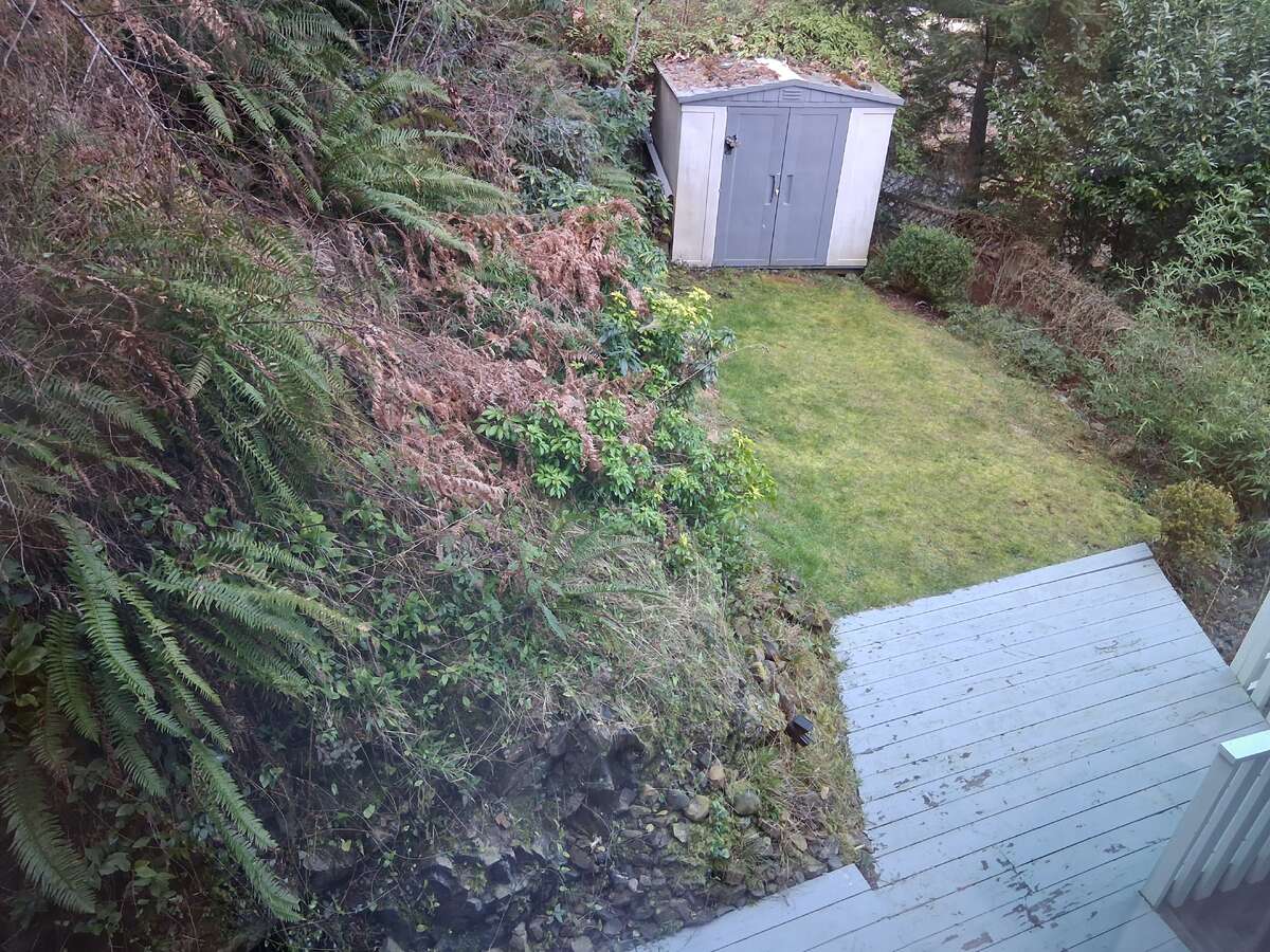 Primary view of Side yard-kids, pets, fires, tanning, hot-tub?