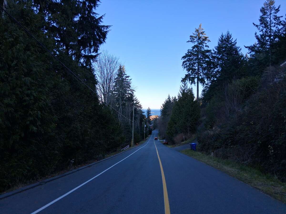 Our block has Forest on both sides of Laguna mixed with homes