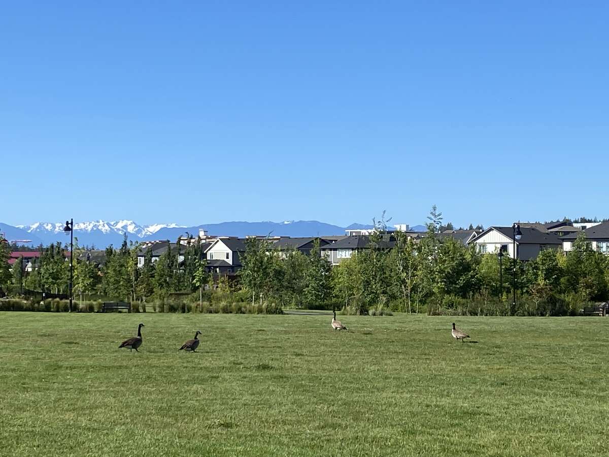 neighbourhood park