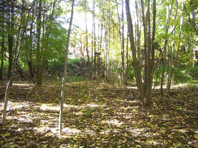 Vacant Land / Recreational Property For Sale in Blue Mountains, ON