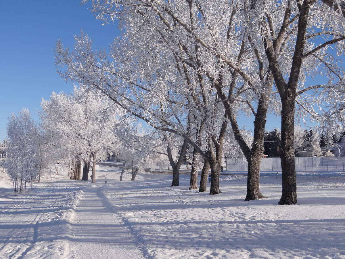 Nearby Walking Trails