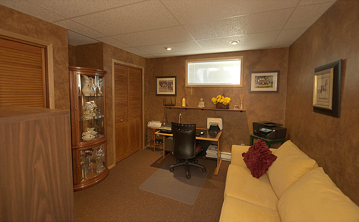Lower finished office/bedroom