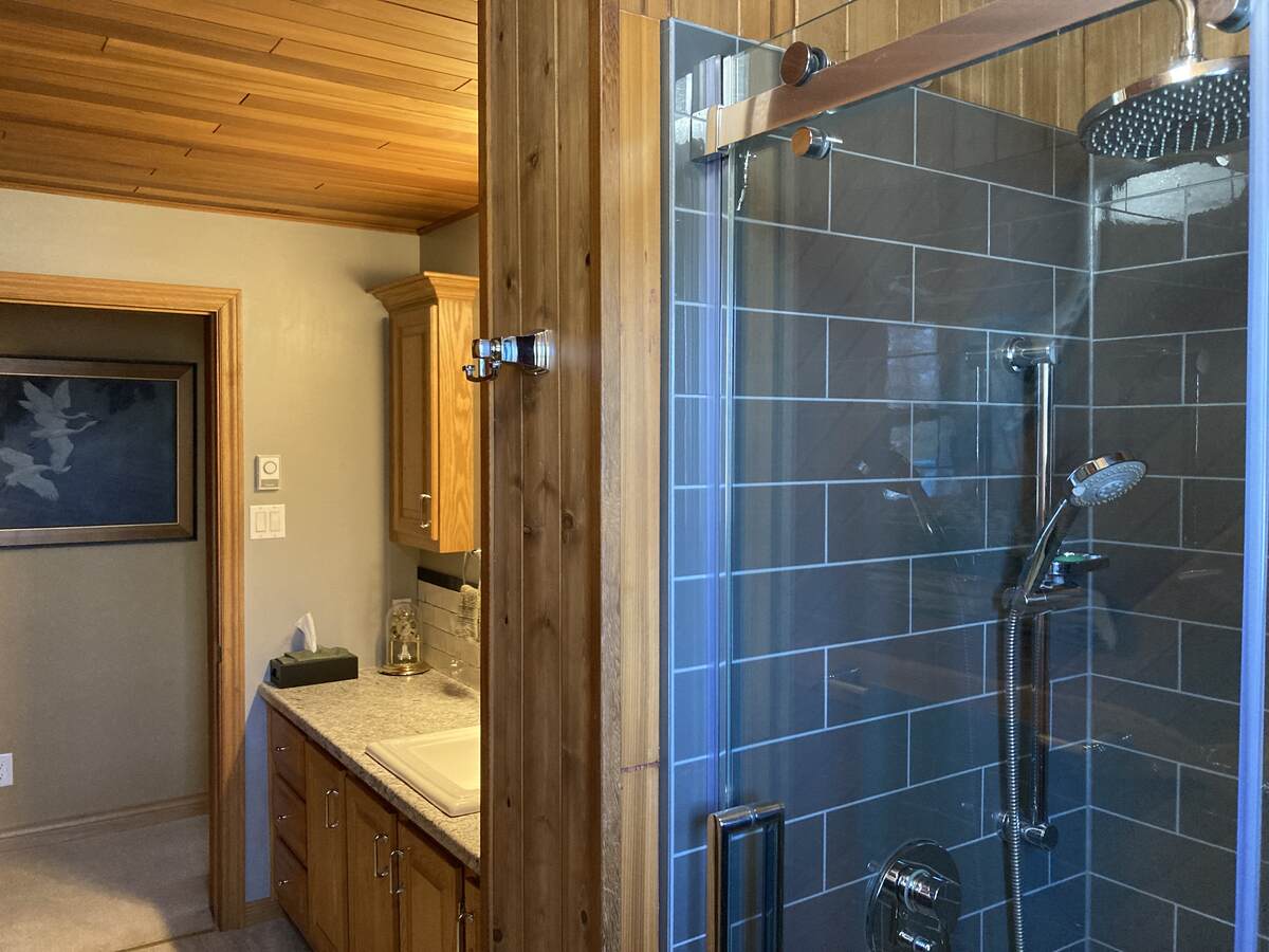 Main bathroom shower