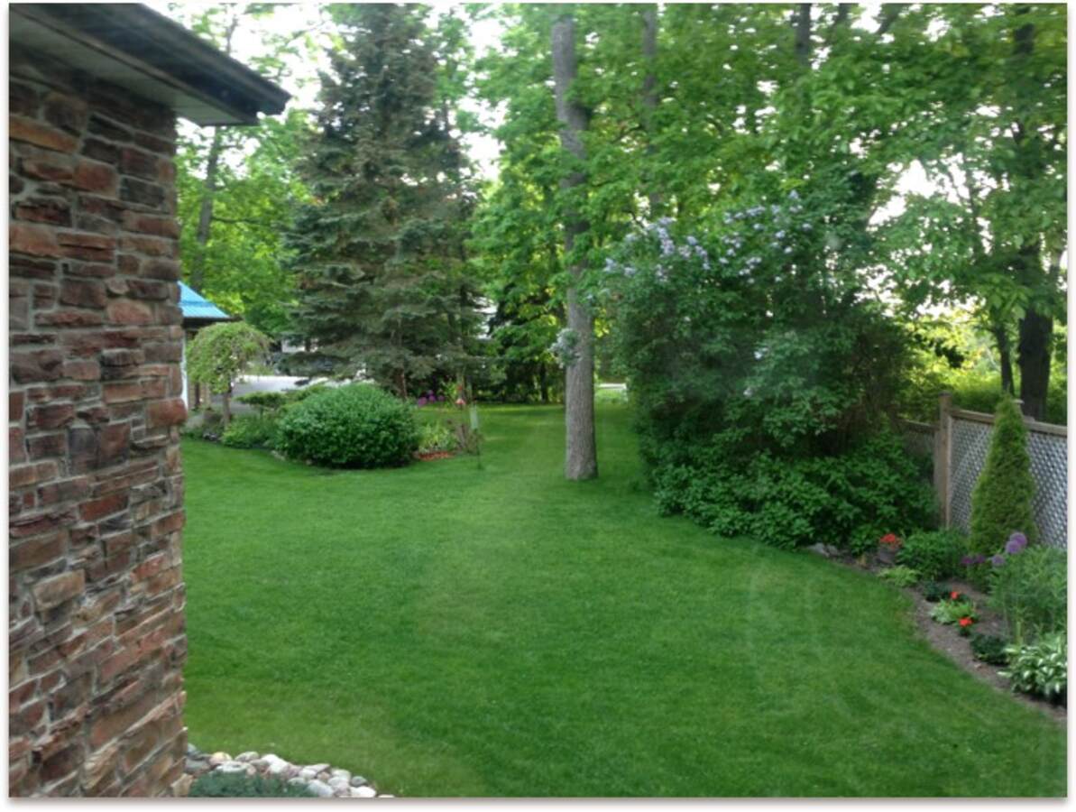 View of front yard privacy