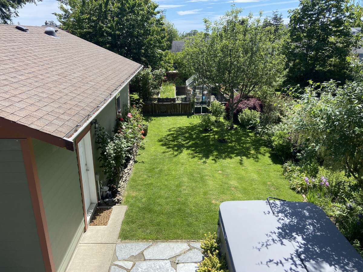 back yard from deck, apple & cherry tree