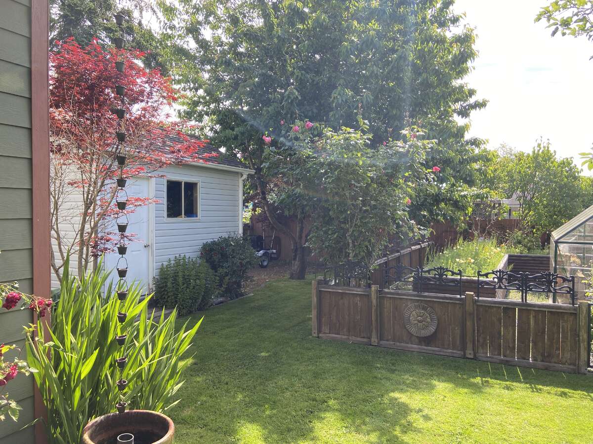 garden and garden shed