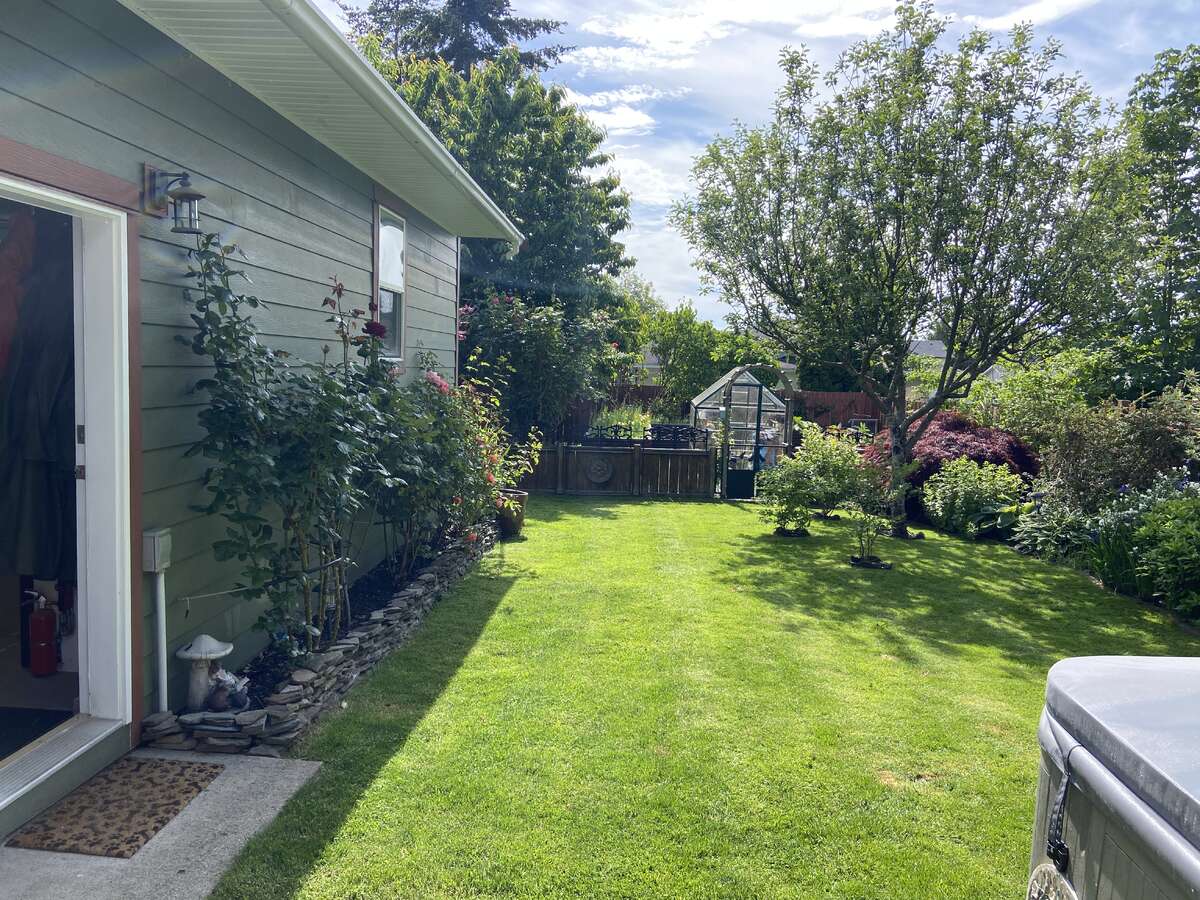back yard w/apple tree, blueberry bushes