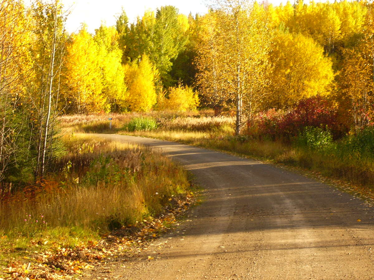 Beautiful Indian summers.
