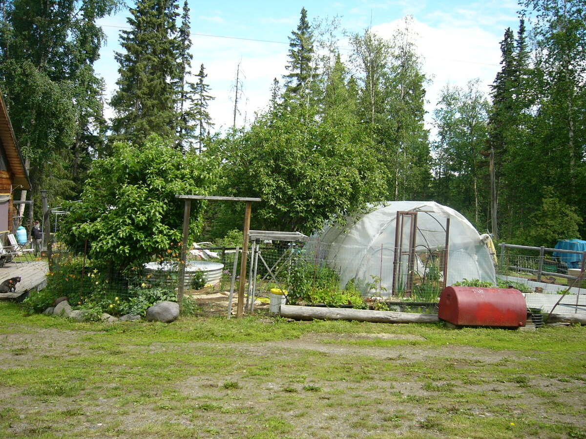 fruit trees are gone.