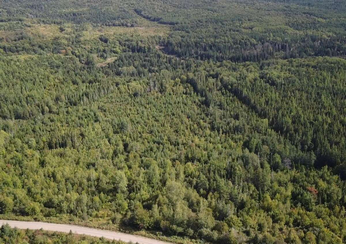 App.850 ft of frontage to Mull river rd;property running adjacent to MacFarlane Woods nature reserve