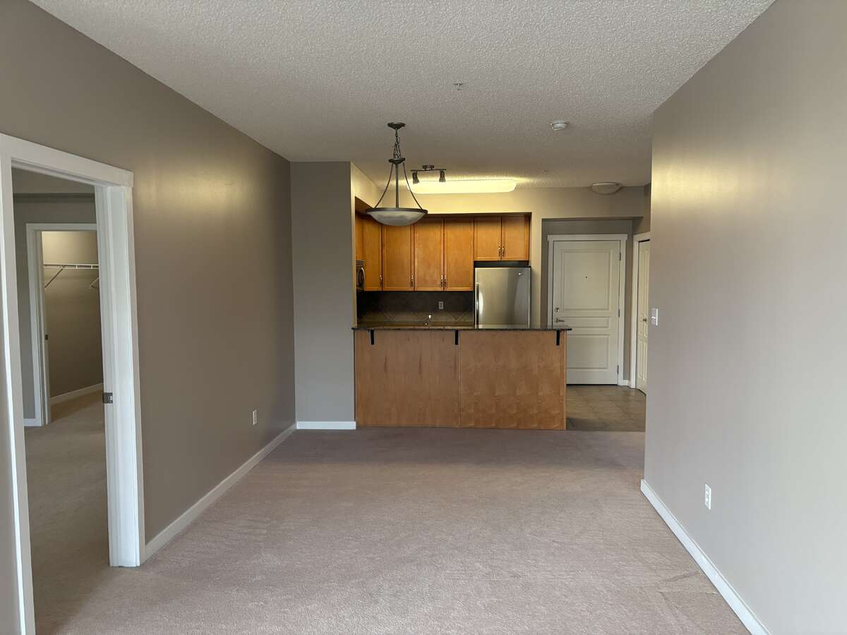 Living Room and Kitchen