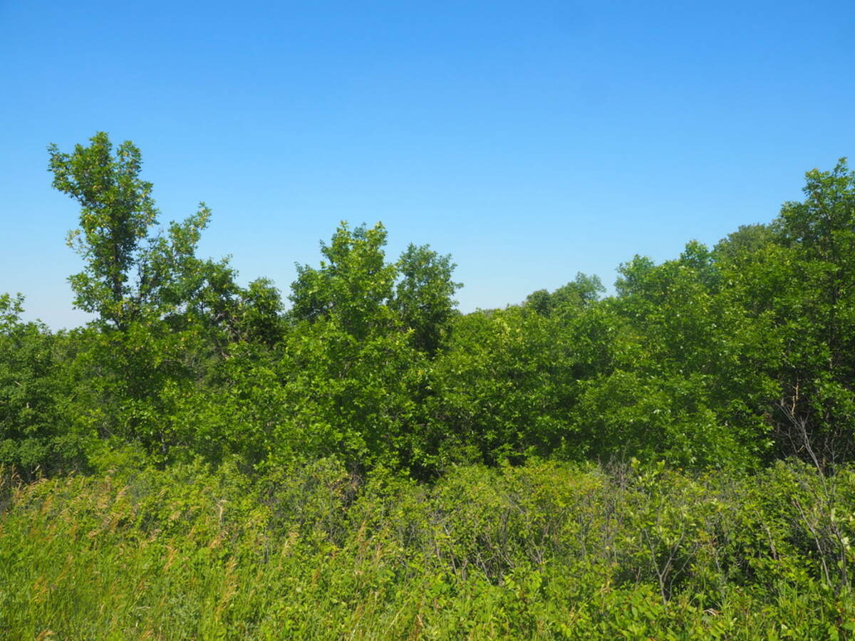 Vacant Land For Sale in Lumsden, SK