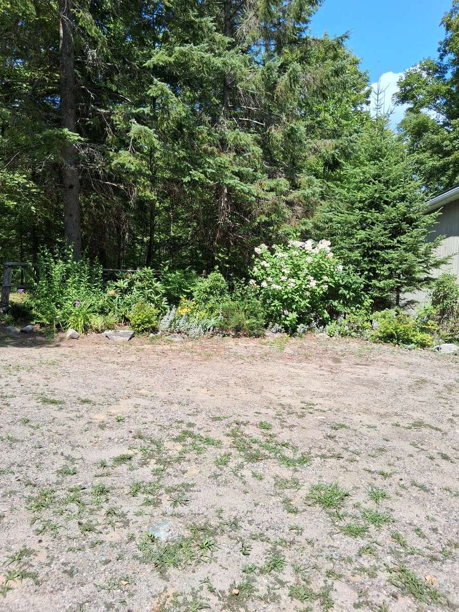 Everything in this garden are perennials.