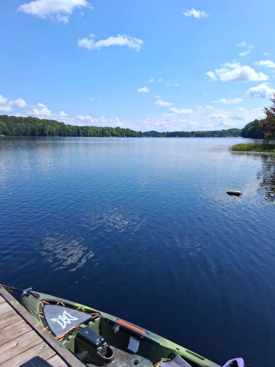 A view of the south part of the lake.