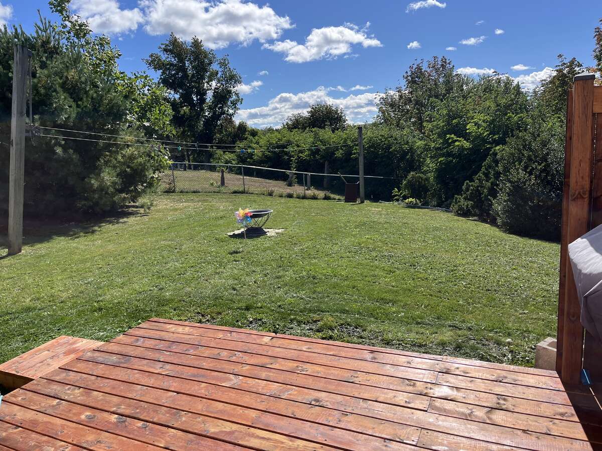 backyard to the fence
