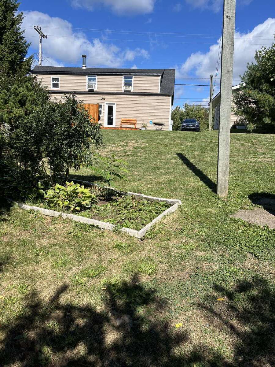 back yard looking up at house