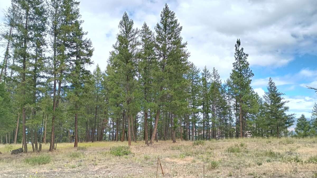Located above Princeton Tunnel and Kettle Valley Trail