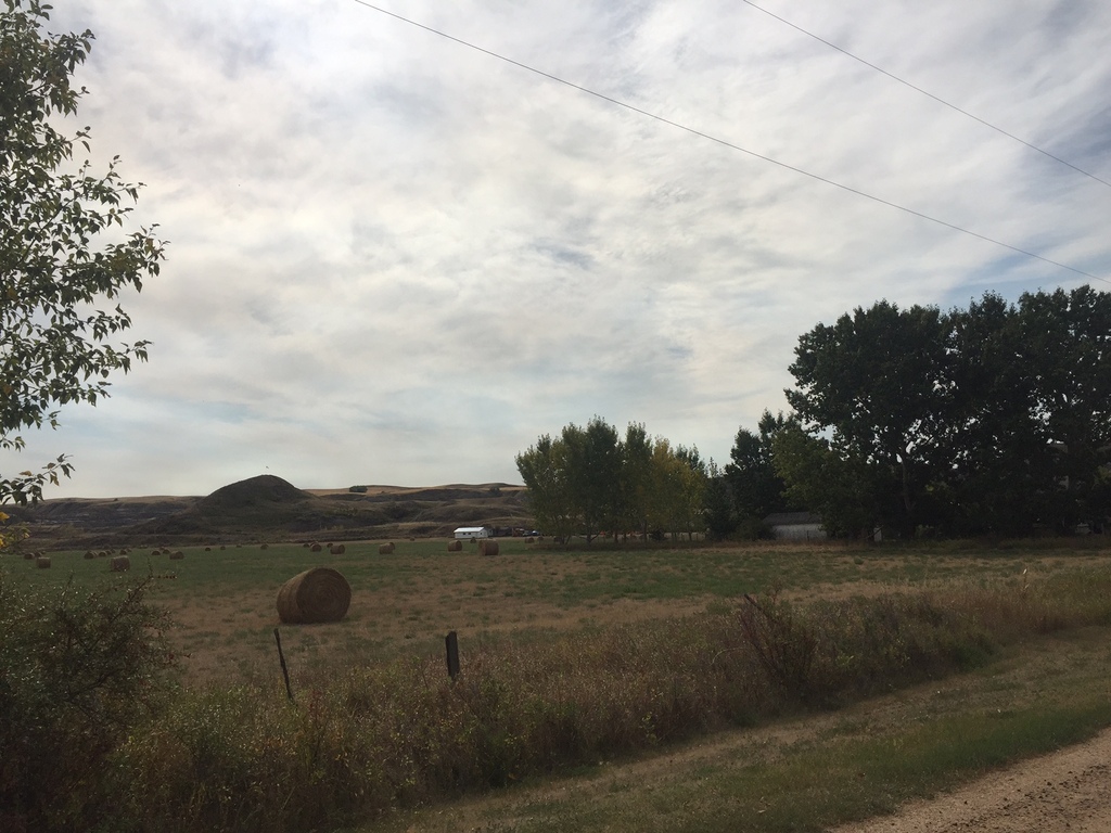 Acreage / Vacant Land For Sale in Rosedale Station, AB