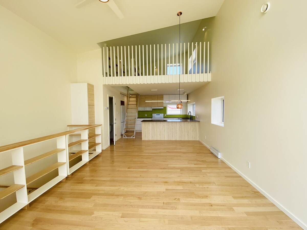 Living room, loft + kitchen from top of stairs. 20' ceiling, hardwood maple floors and large south-facing windows.