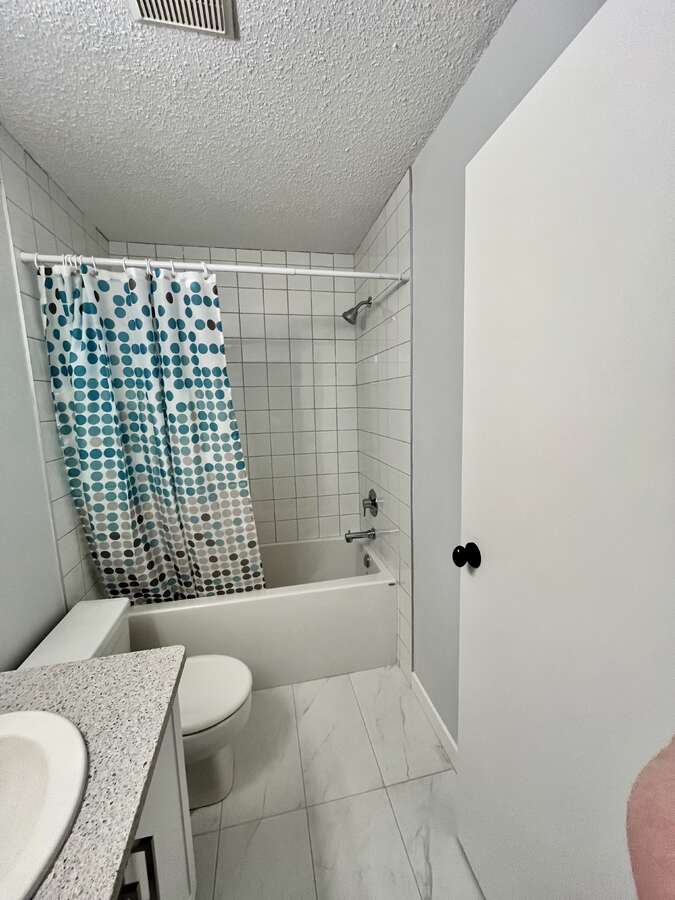 Main bathroom with soaker tub