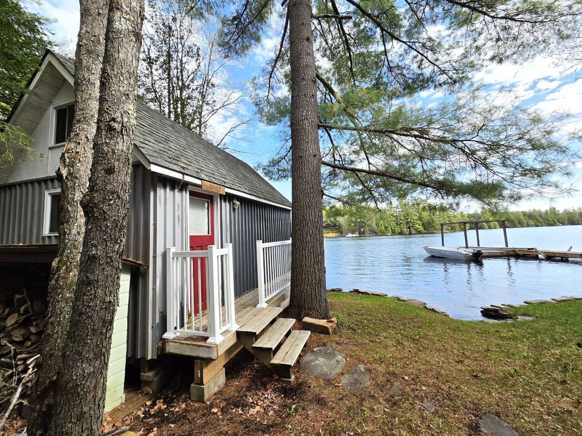 The Bunkie
