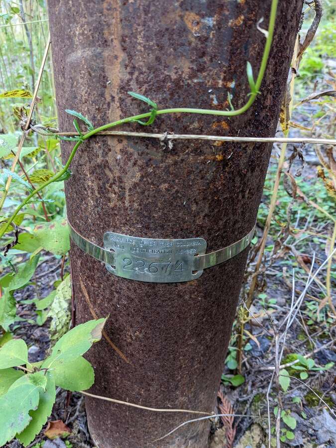Well tag for the productive well on the property
