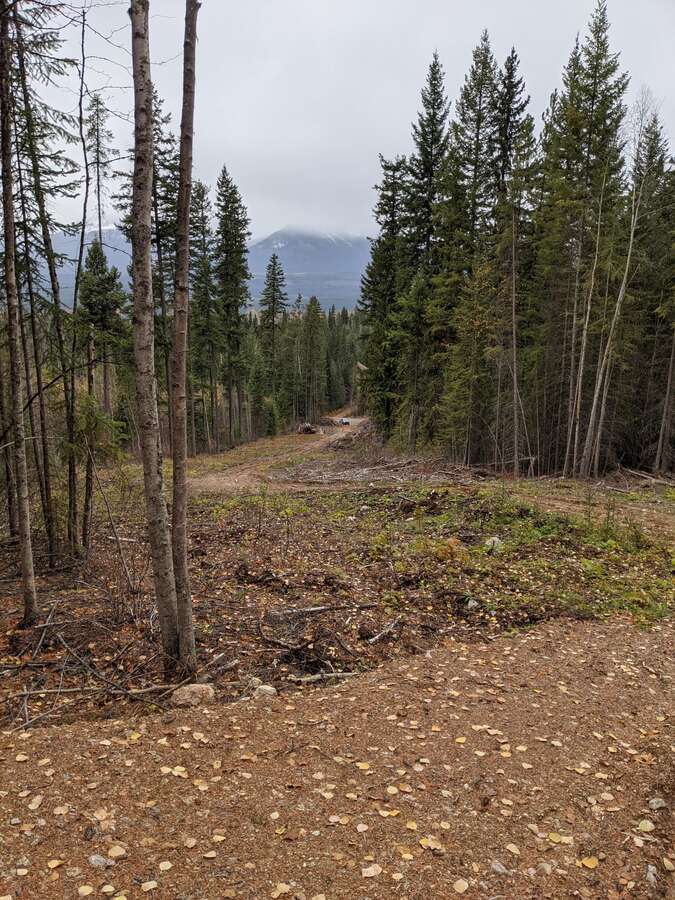 Vacant Land For Sale in Golden, BC