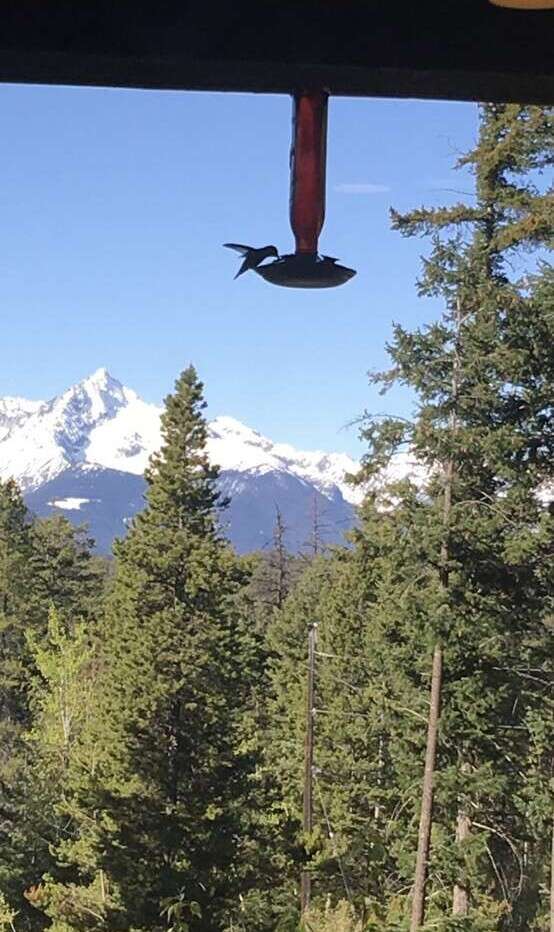 Private Mountain Retreat on 6.14 Acres