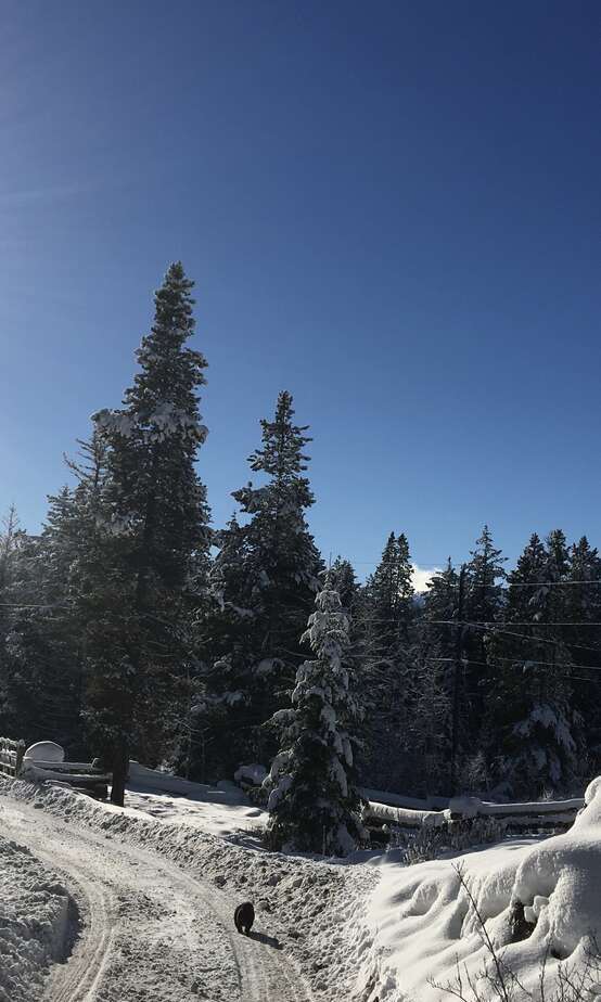 Private Mountain Retreat on 6.14 Acres