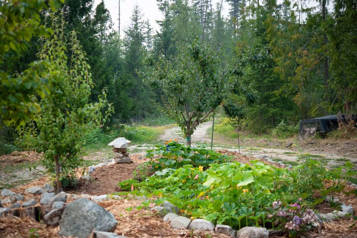 60 Private Acres Overlooking the Arrow Lakes