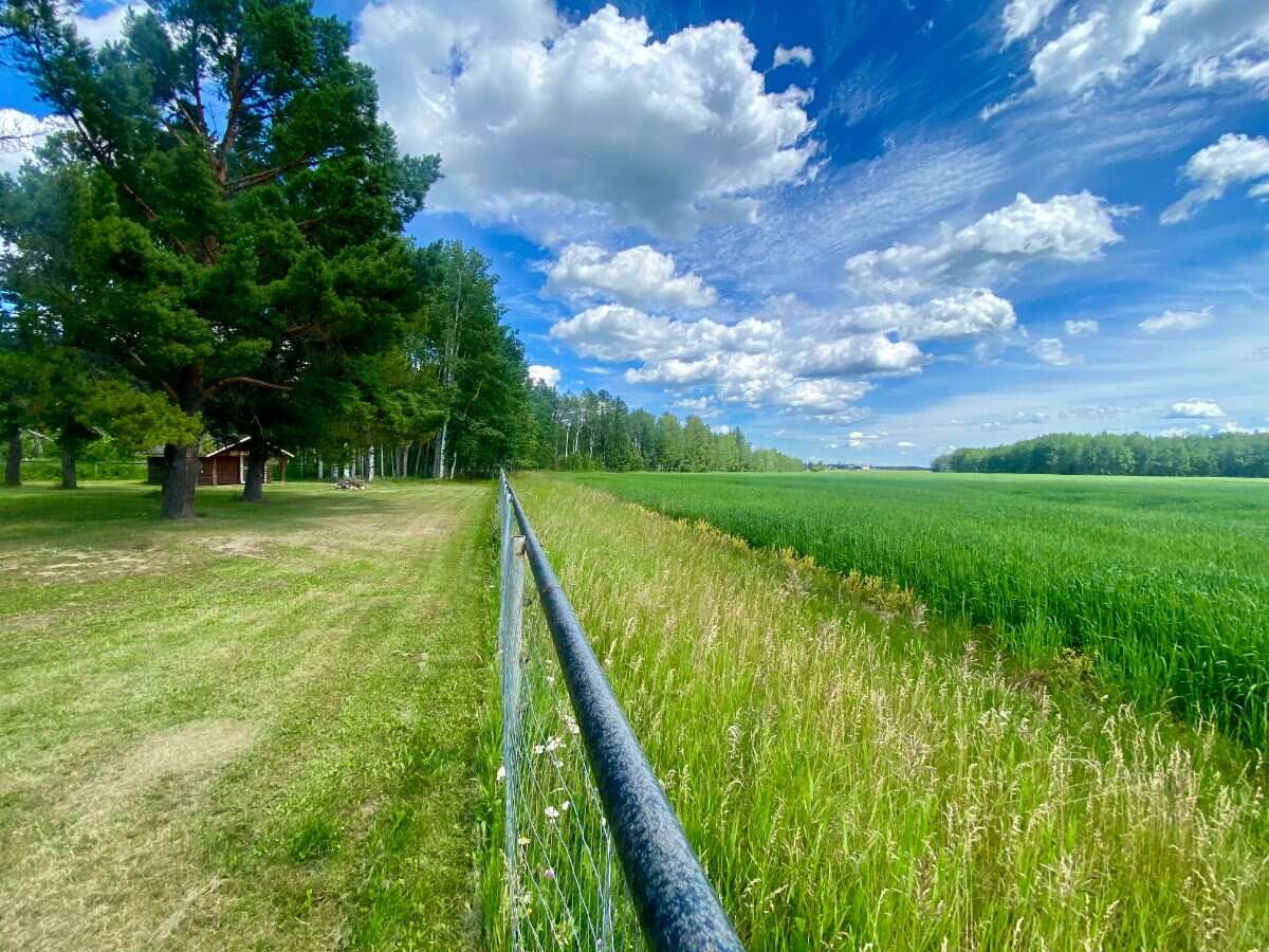 Fully Renovated Country Acreage on 1+acre